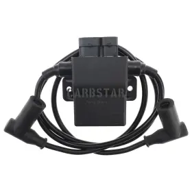 Dq-dh0057 Carbstar Cdi Ignition Coil Controller 4010696 4010526 For Polaris Sportsman 700 2002-2004
