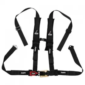 1396590025 Dragonfire Racing 4-point H-style Safety Harness With Sternum Clip 2 Inch Driver Side