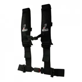 1936130009 Dragonfire Racing 4-point Safety Harness With Automotive Buckle 3 Inch Driver Side