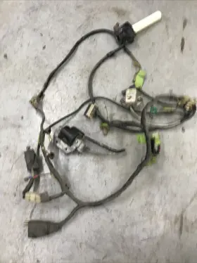 32100-329-000 Honda Main Wiring Harness 1972 Xl250a Sl250 Loom Coil Cdi On/off Switch Throttle