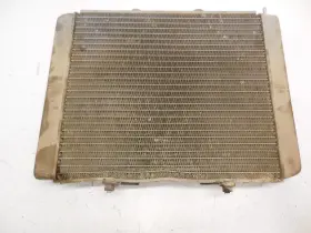 1241480 Polaris 1240319 Ee69 Rzr 800 Efi 2008 Radiator