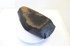 94 Yamaha Razz SH50 Oem Seat Tandem Saddle Used. Price: $38.27.