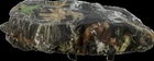 Moose Utility Division 0821-1781 Seat Cover Hon Forman New. Price: $44.43.