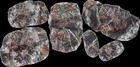 Moose Utility Division 0821-1779 Seat Cover RANGER900 New. Price: $134.95.