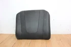 2019 Massimo T-boss 750 Left Or Right Seat Backrest Used. Price: $75.00.