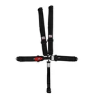 Simpson Seat Belt Harness 1B33NIKX; New. Price: $183.52.